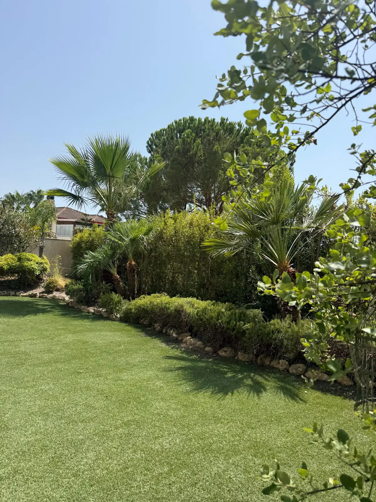 Jardín con palmeras, setos y césped cuidado